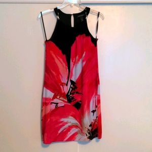 White House Black Market floral dress